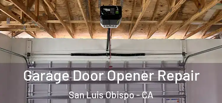  Garage Door Opener Repair San Luis Obispo - CA