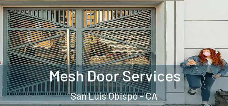 Mesh Door Services San Luis Obispo - CA